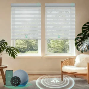Blinds